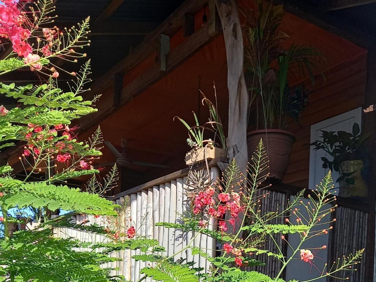 보카스 타운 Casa Lumiere 아파트 외부 사진